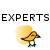 Experts Experts